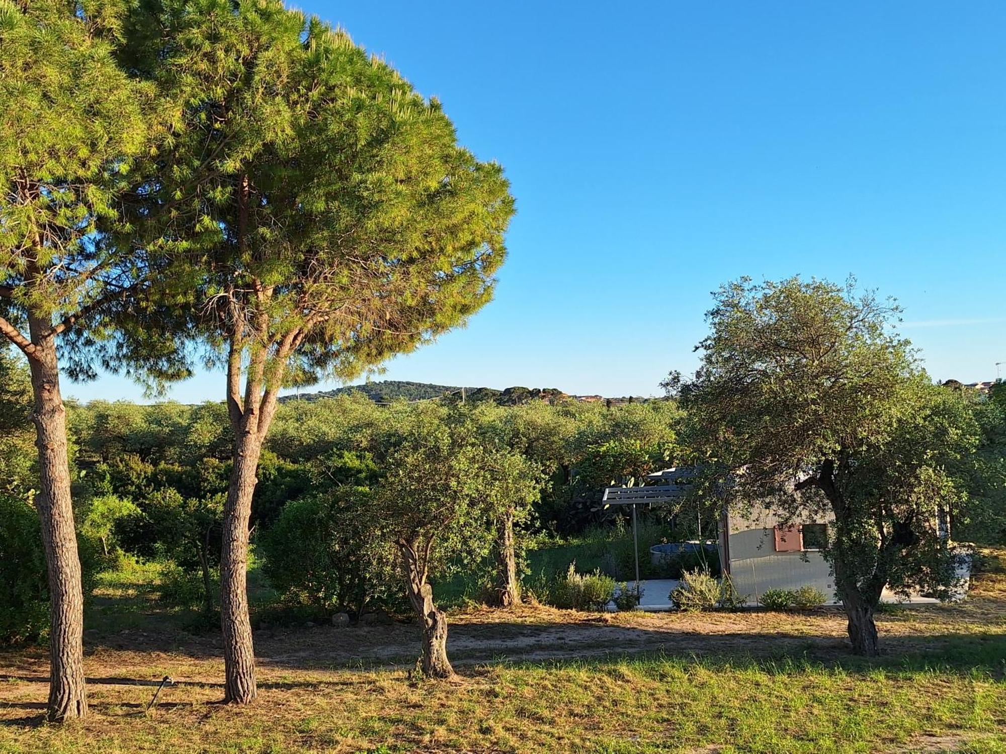 Casale Valverde Alghero Extérieur photo
